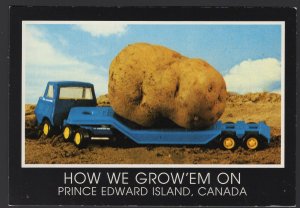 PEI Exaggeration How We Grow'Em Toy Truck Trailer Potato ~ Cont'l