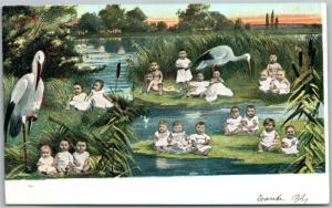 MULTIPLE BABIES in EVERHLADES UNDIVIDED 1905 ANTIQUE POSTCARD w/ BELGIAN STAMP