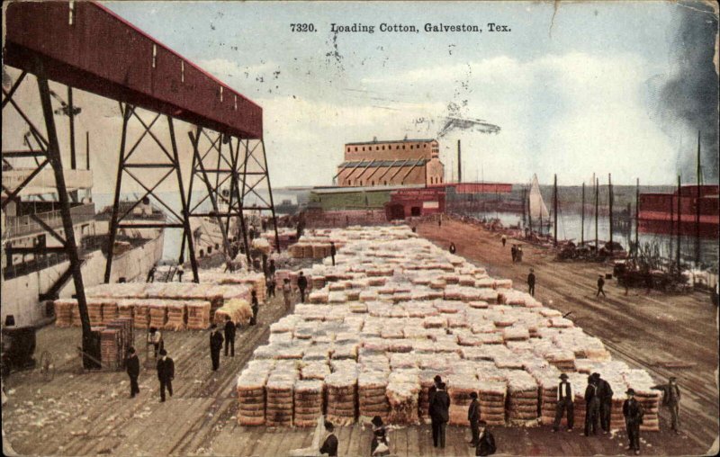 GALVESTON TX Loading Cotton at Docks c1910 Postcard