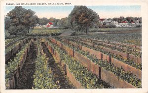 Bleaching Celery Farming Kalamazoo Michigan 1920s postcard