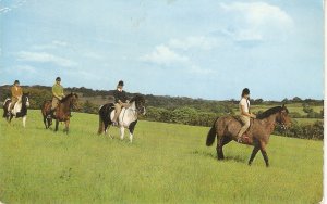 Ponny treking  in Kent Nice vintage English postcard