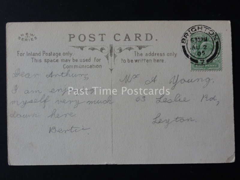 Sussex BRIGHTON PALACE PIER Union Jack Flag  c1905 Postcard