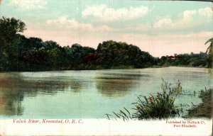 South Africa Valsch River Kroonstad Vintage Postcard 08.51