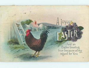 Divided-Back easter BROWN CHICKEN IN THE BARN YARD r2985