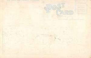 Maine Hotel Camp Etna Vintage Postcard AA36621 