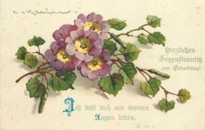 C. Klein artist postcard Germany 1942 flowers blossom