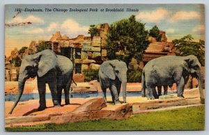 Brookfield  Illinois  Chicago Zoological Park   Postcard