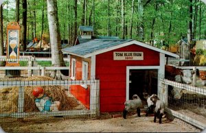 Michigan Coloma Deer Forest At Paw Paw Lakes