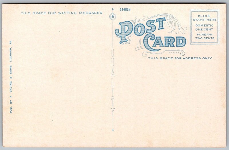 Vtg Pennsylvania PA Ligonier Public Library 1920s View Old WB Card Postcard