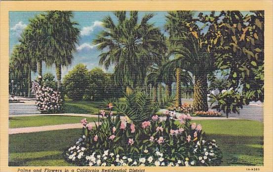 California Los Angeles Palm And Flowers in A California Residential District