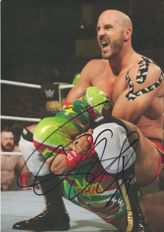 Cesaro WWE Wrestling Swiss Fighter Giant 12x8 Hand Signed Photo