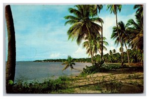 Beach Scene At Guanajibo Near Mayaguez Puerto Rico UNP Chrome Postcard Z10