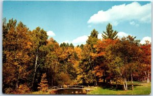 M-55620 Autumn on Long Pine Playground Longville Minnesota