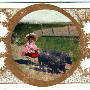 1908 Little Girl & Wagon Pulled by Pigs Piglets Hogs Litho Photo Red Cute PC A17