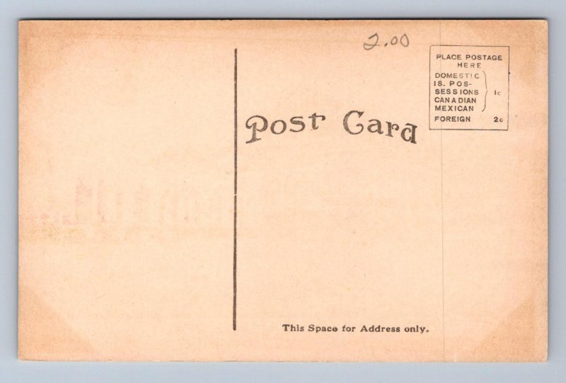 BALLAST POINT TAMPA FLORIDA POSTCARD (c. 1909 ^^^)