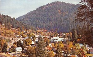 DOWNIEVILLE, CA Bird's Eye View of Town Sierra County California c1960s Postcard