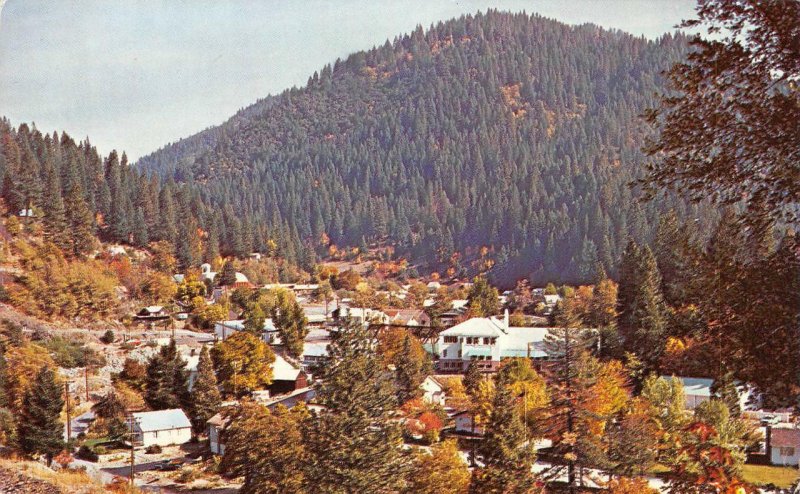 DOWNIEVILLE, CA Bird's Eye View of Town Sierra County California c1960s Postcard