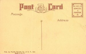 BAILEY GATZERT STEAMER SHIP ON THE COLUMBIA RIVER~POSTCARD