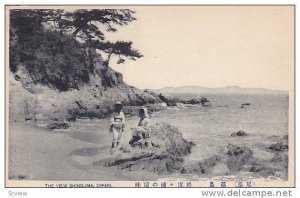 The View Shinojima, Owari, Japan, 1900-1910s