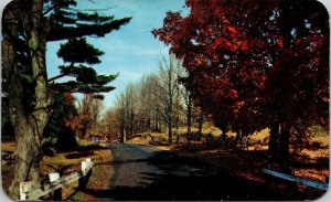 Autumn Scene Old Rd Postcard PM Defiance Ohio OH Cancel WOB Note VTG 3c Stamp 