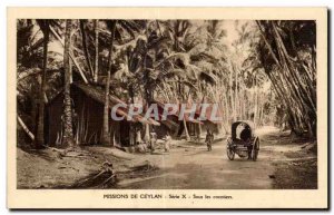 Old Postcard From Ceylon Missions Sieire X Under the Ceylon Sri Lanka Ceylon ...