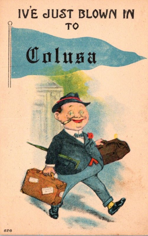 Illinois Colusa Man With Suitcases Pennant Series