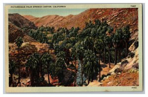 1941 Picturesque Palm Springs Canyon California Vintage Standard View Postcard