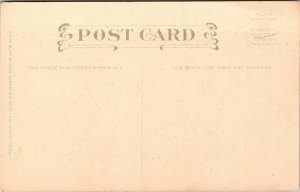 Vtg Falls Scenic View Waterfall Schlesinger Bros 1910s Art Postcard