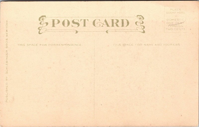 Vtg Falls Scenic View Waterfall Schlesinger Bros 1910s Art Postcard