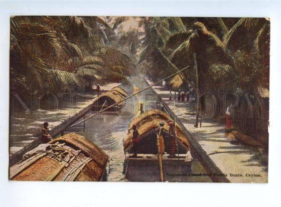 151564 CEYLON Negombo Canal & Padda Boats Vintage PC