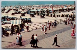 1958 Cabanas Boardwalk Chalfonte Haddon Hall Atlantic City NJ Posted Postcard