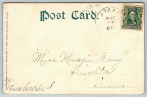 Memphis Tennessee~Overton Park Driveway~Path Thru Trees~1907 Postcard