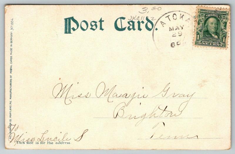 Memphis Tennessee~Overton Park Driveway~Path Thru Trees~1907 Postcard