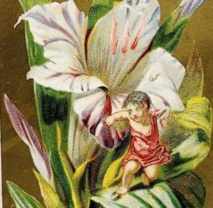 Antique Victorian Trade Card Fairy Girl Lily Flower 1880-90s 5.25 x 3.25