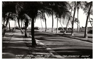 RPPC Postcard Royal Palm Way Atlantic Ocean Old Cars  Palm Beach Florida c1950