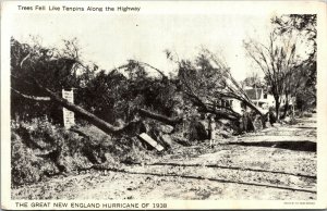 Vtg Great New England Hurricane 1938 Trees Down Along Highway Disaster Postcard