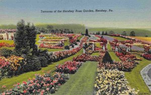 Rose Garden Terraces Hershey Pennsylvania linen postcard