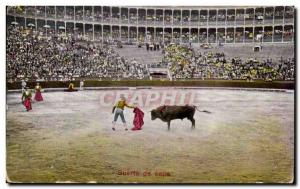 Postcard Old Bull Bullfight Suerte de capa