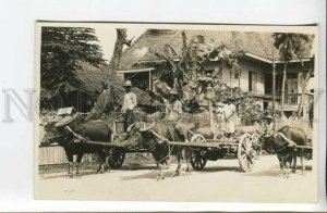 439553 Philippines buffalo sledding and locals Vintage photo postcard