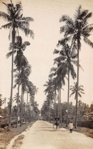 Singapore Suburb Street Scene Palm Trees Real Photo Vintage Postcard AA110759