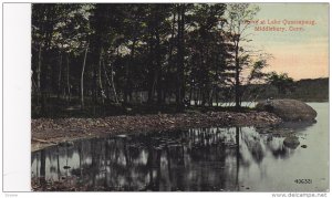 Grove at Lake Quassapaug, Middlebury, Connecticut, PU-1916