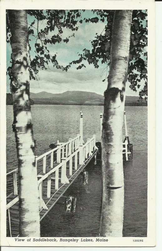 Rangeley Lakes, Maine, View of  Saddleback