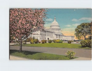 Postcard The U. S. Capitol, Washington, District of Columbia