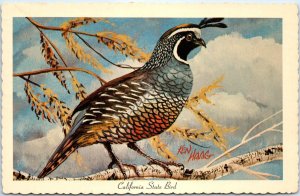 1966 CA California State Bird Valley Quail Plumage Ken Haag Painting Art PC A335