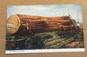 VINT UNUSED PC - TUCK & SONS (PUBL. TO THE KING & QUEEN) - LOG SECTION ON CARS