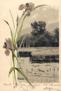 Illustrator A. Mailick fine art litho postcard 1902