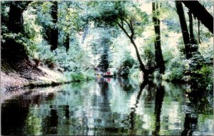 San Lorenzo River, YMCA Camp Campbell, Boulder Creek CA Vintage Postcard Y68