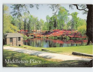 Postcard Middleton Place, Charleston, South Carolina