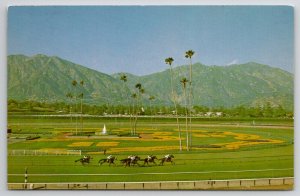 Arcadia CA Horse Racetrack Santa Anita Park Thoroughbreds Racing Postcard J28