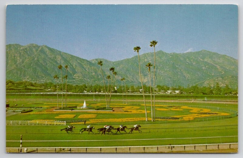 Arcadia CA Horse Racetrack Santa Anita Park Thoroughbreds Racing Postcard J28